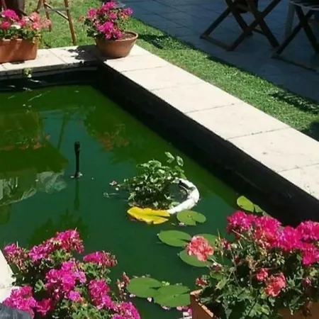Chez Vida Aureilhan (Landes)